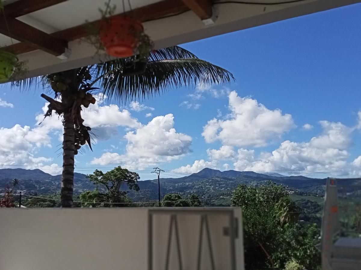Paradis Cache - Confort Terrasse - Kybo Karaib Location - Pkg - Mtgne Sainte Marie Bagian luar foto