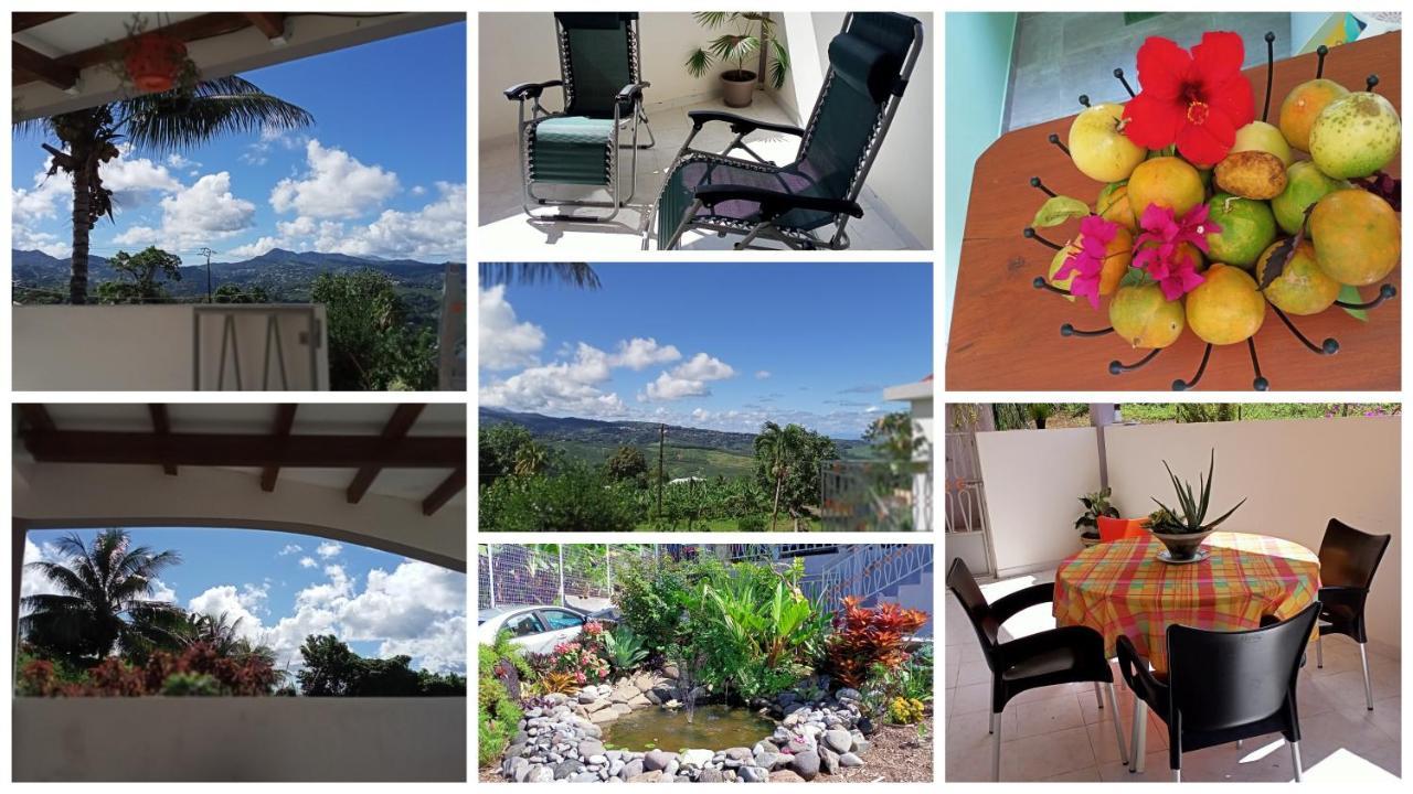 Paradis Cache - Confort Terrasse - Kybo Karaib Location - Pkg - Mtgne Sainte Marie Bagian luar foto